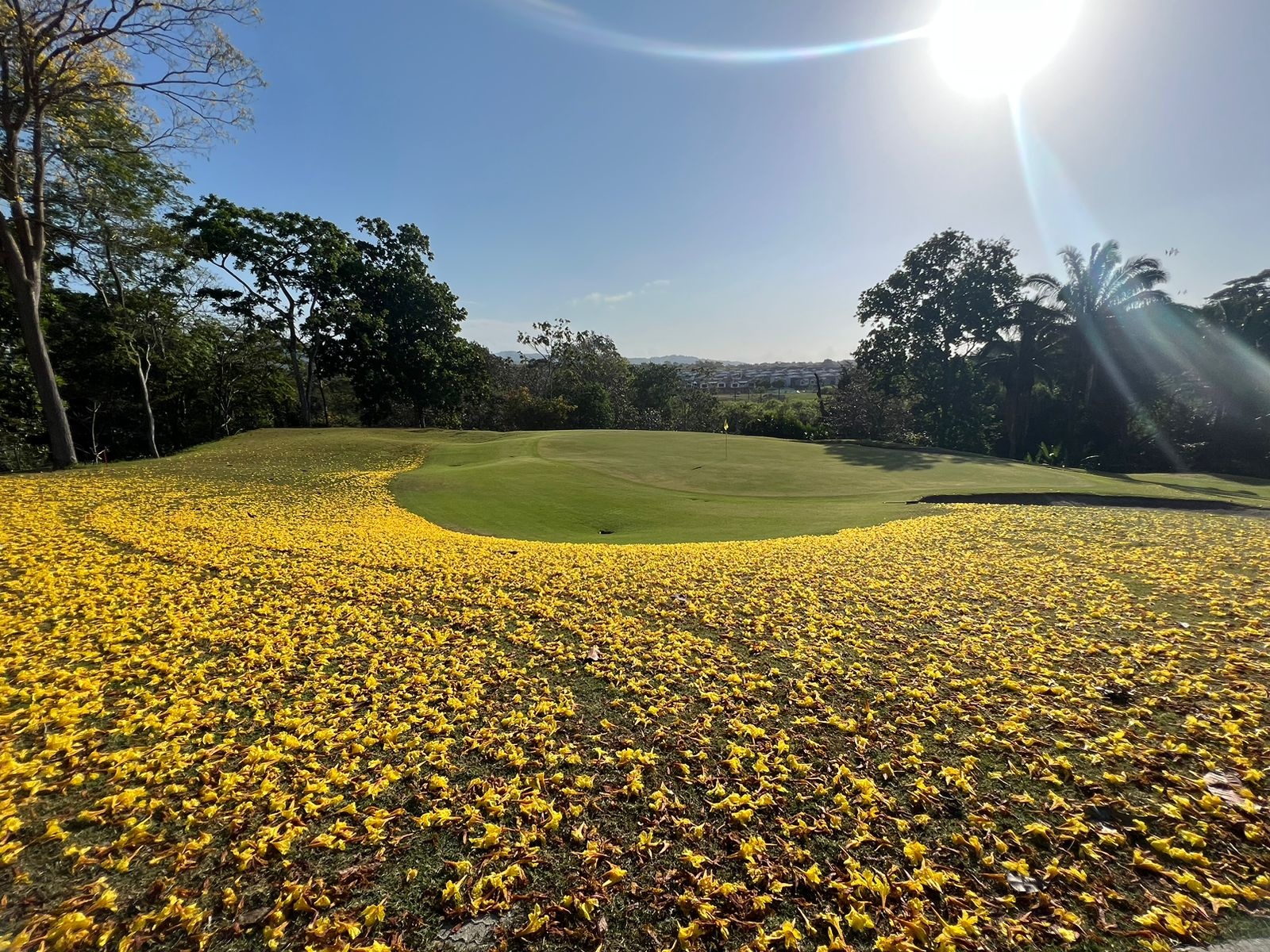 El CERRO es la Casa del Golf 🇵🇦