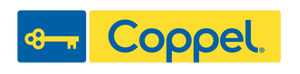 company img