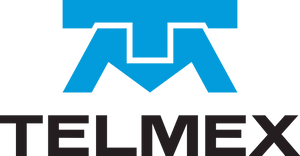 company img