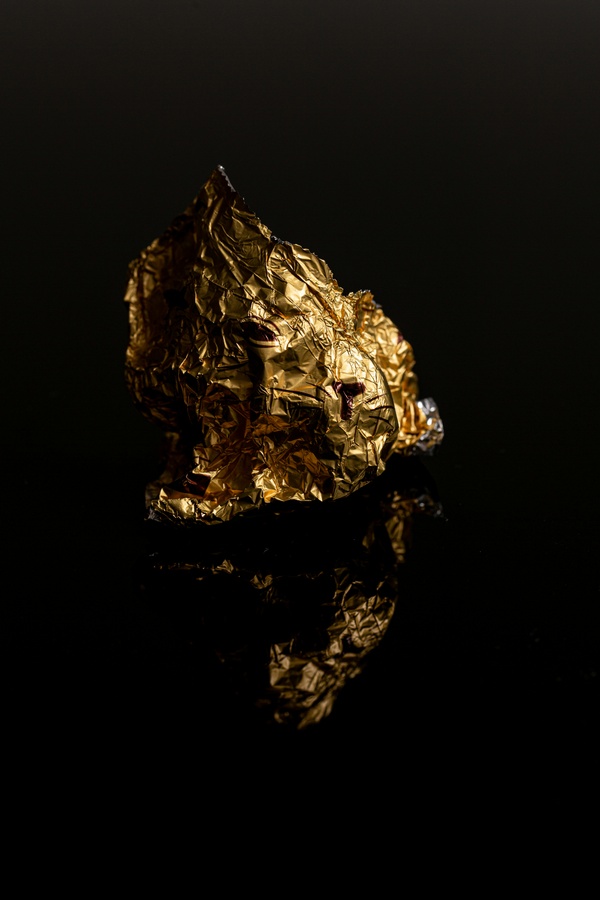 Portfolio image