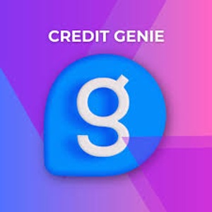 company img
