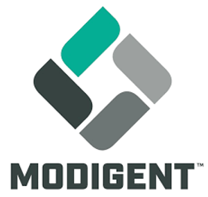 company img