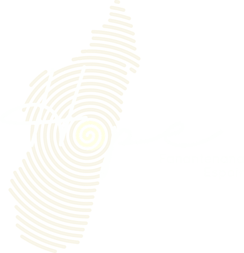 Navbar logo