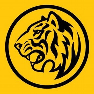 company img