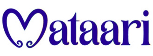 Navbar logo