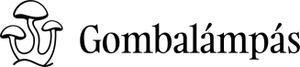 company img